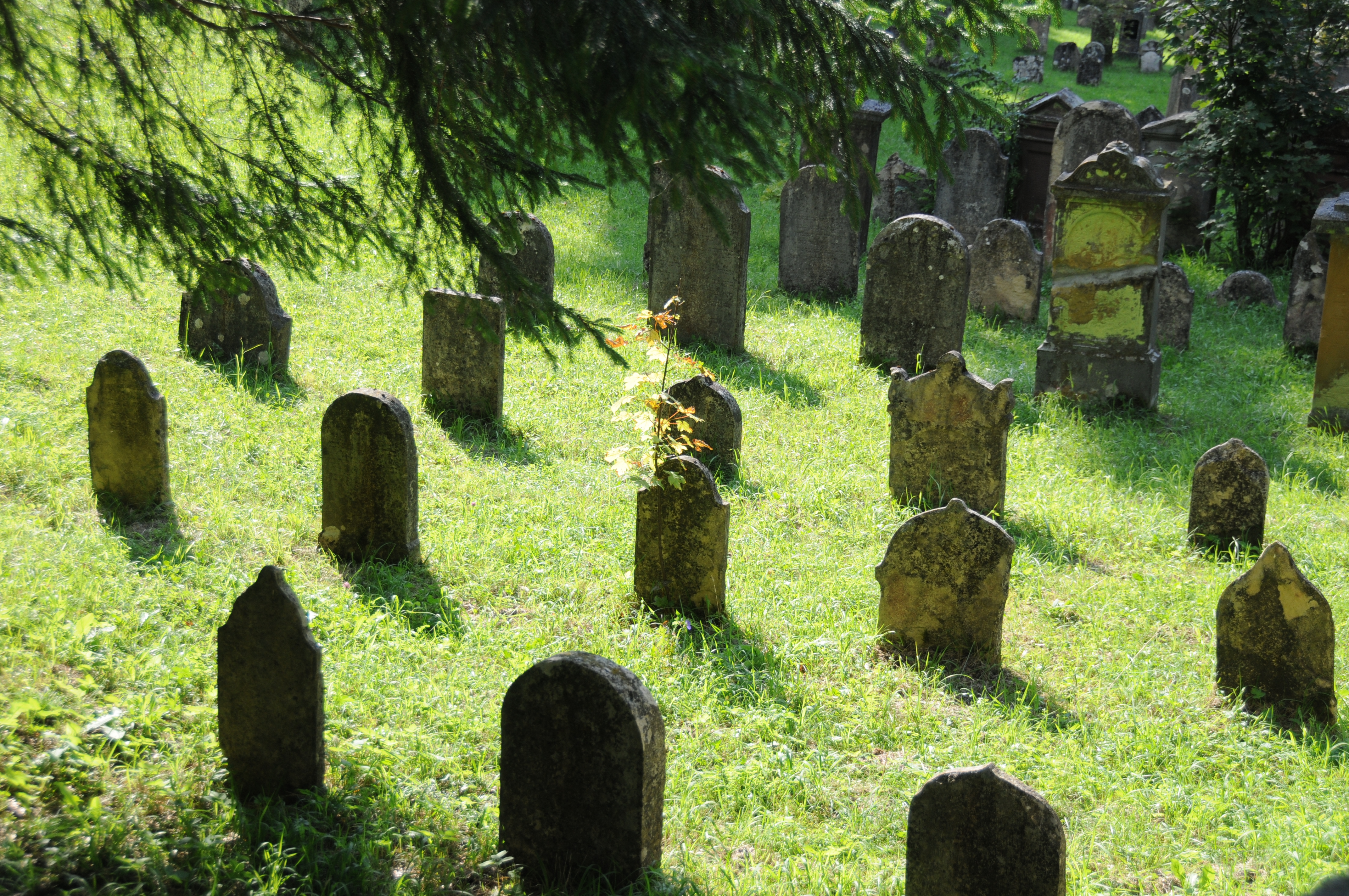 Friedhof bei Aufhausen